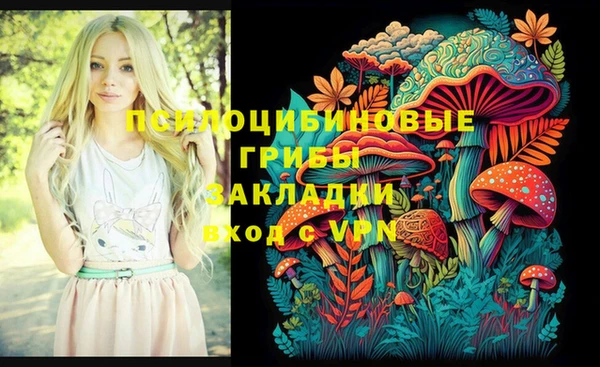 прущая мука Алзамай