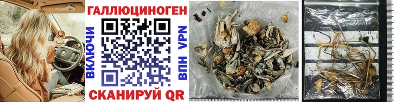 Псилоцибиновые грибы Psilocybine cubensis Апрелевка